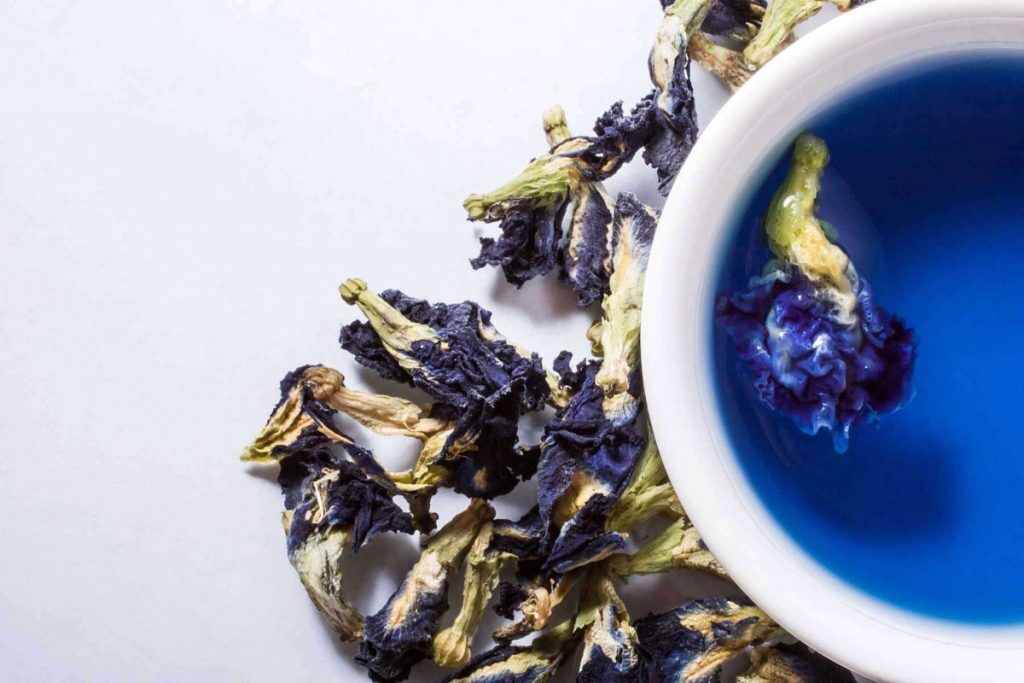 Niebieska Herbata Właściwości Zdrowotne Klitorii Ternateńskiej Herbata Club 2283